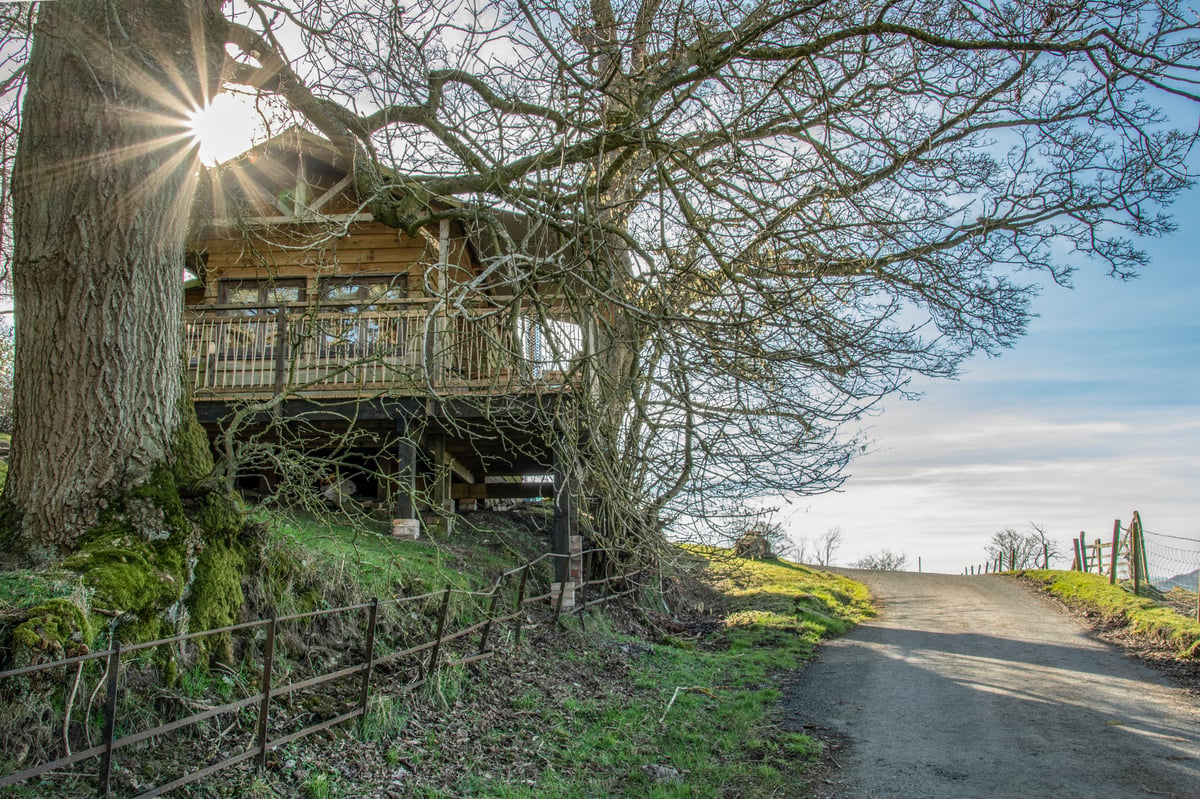 Owl Lodge