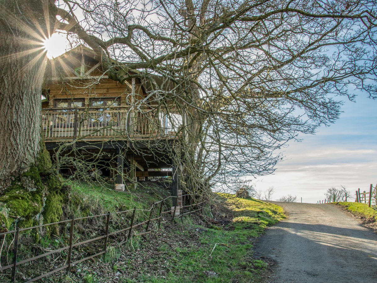 Owl Lodge
