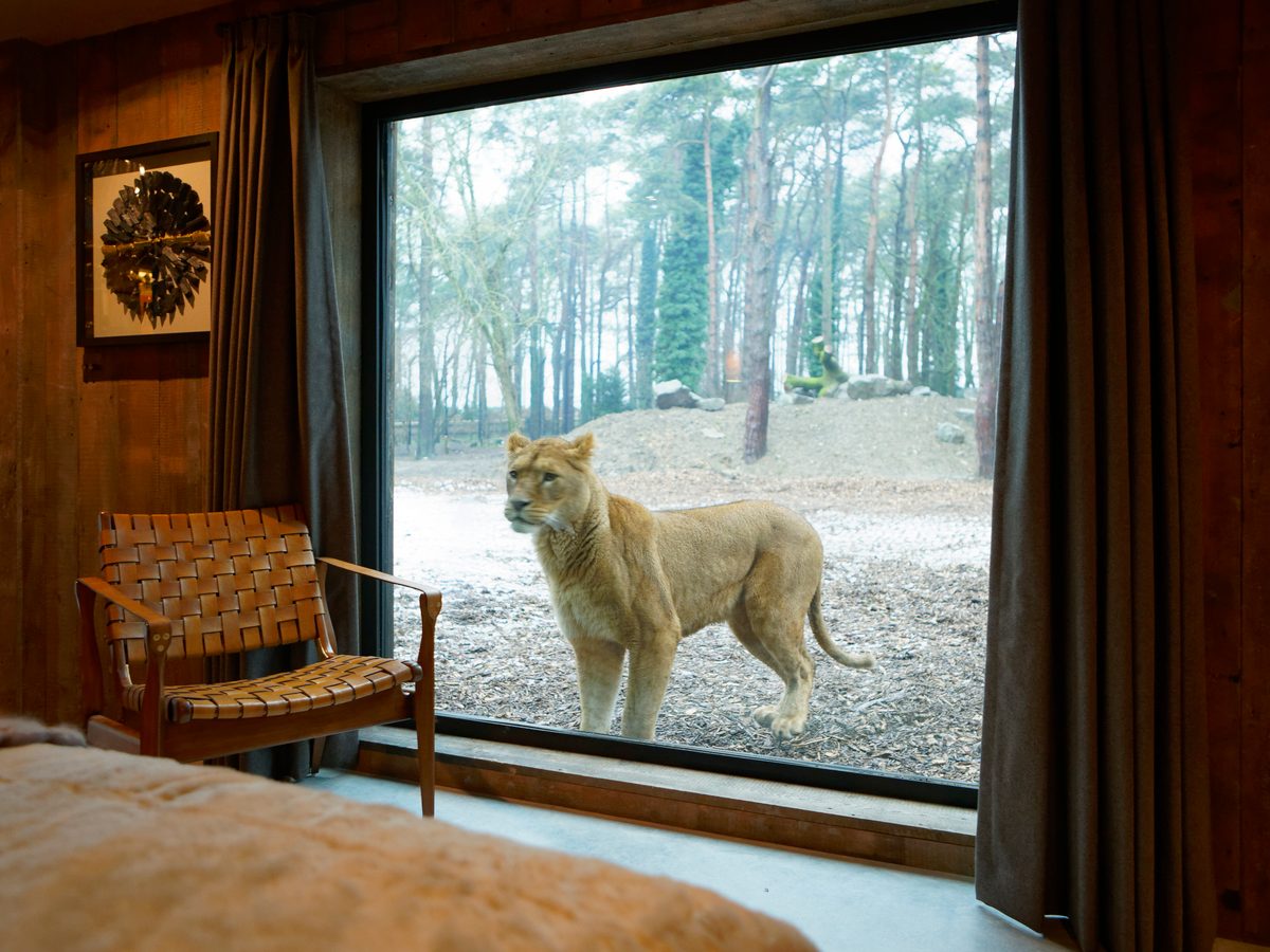 Lion Lodge