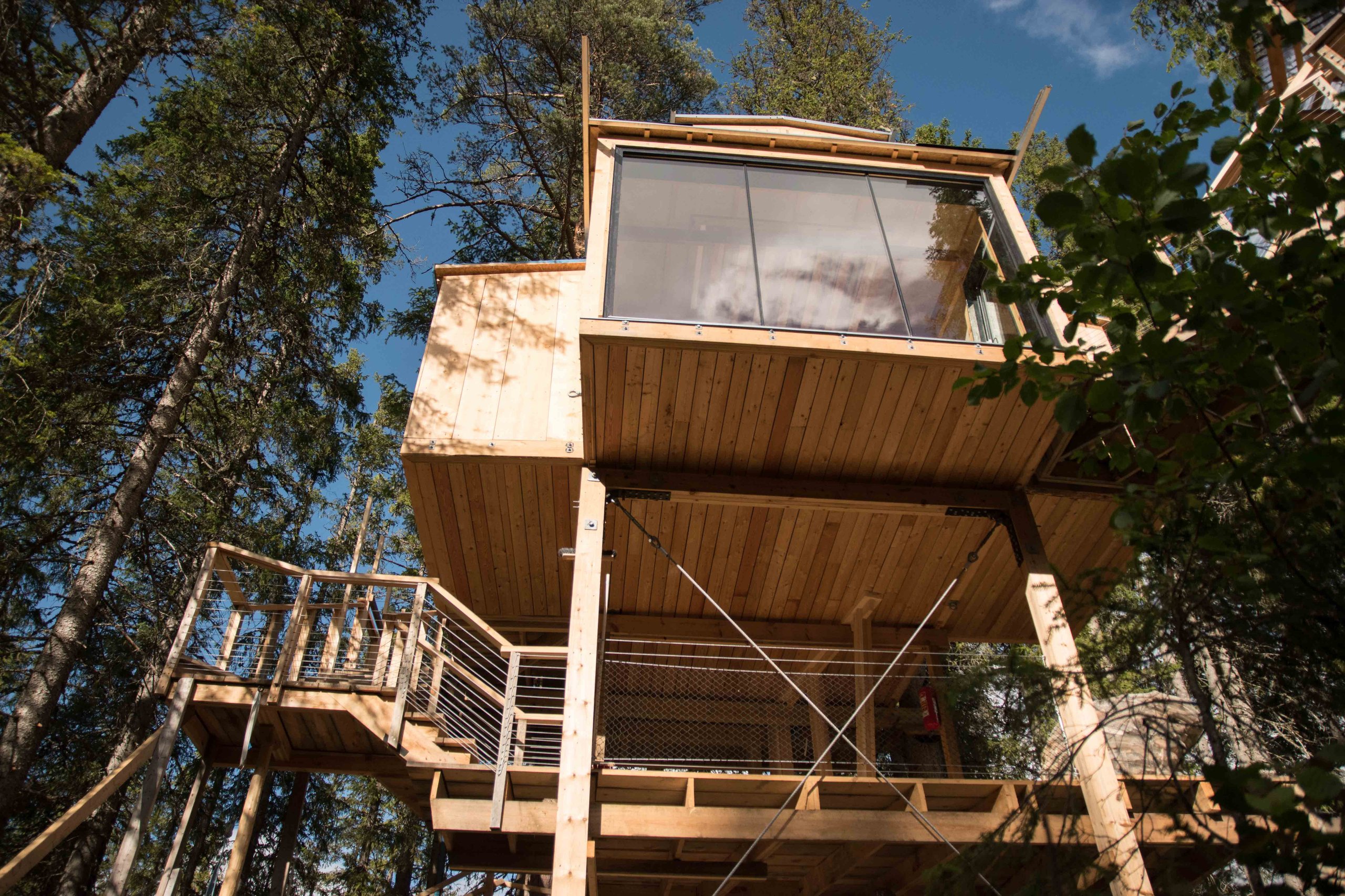 A Auge Treehouse