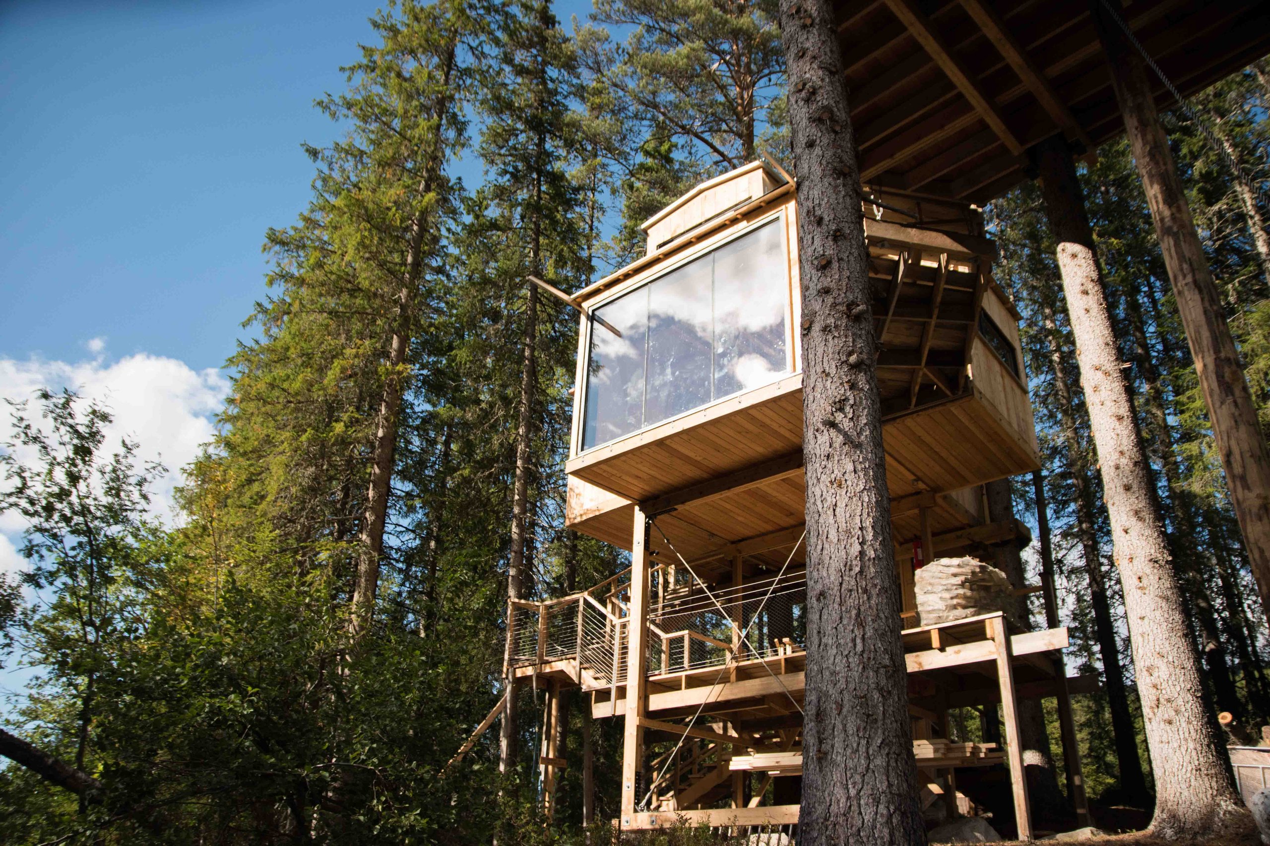 A Auge Treehouse