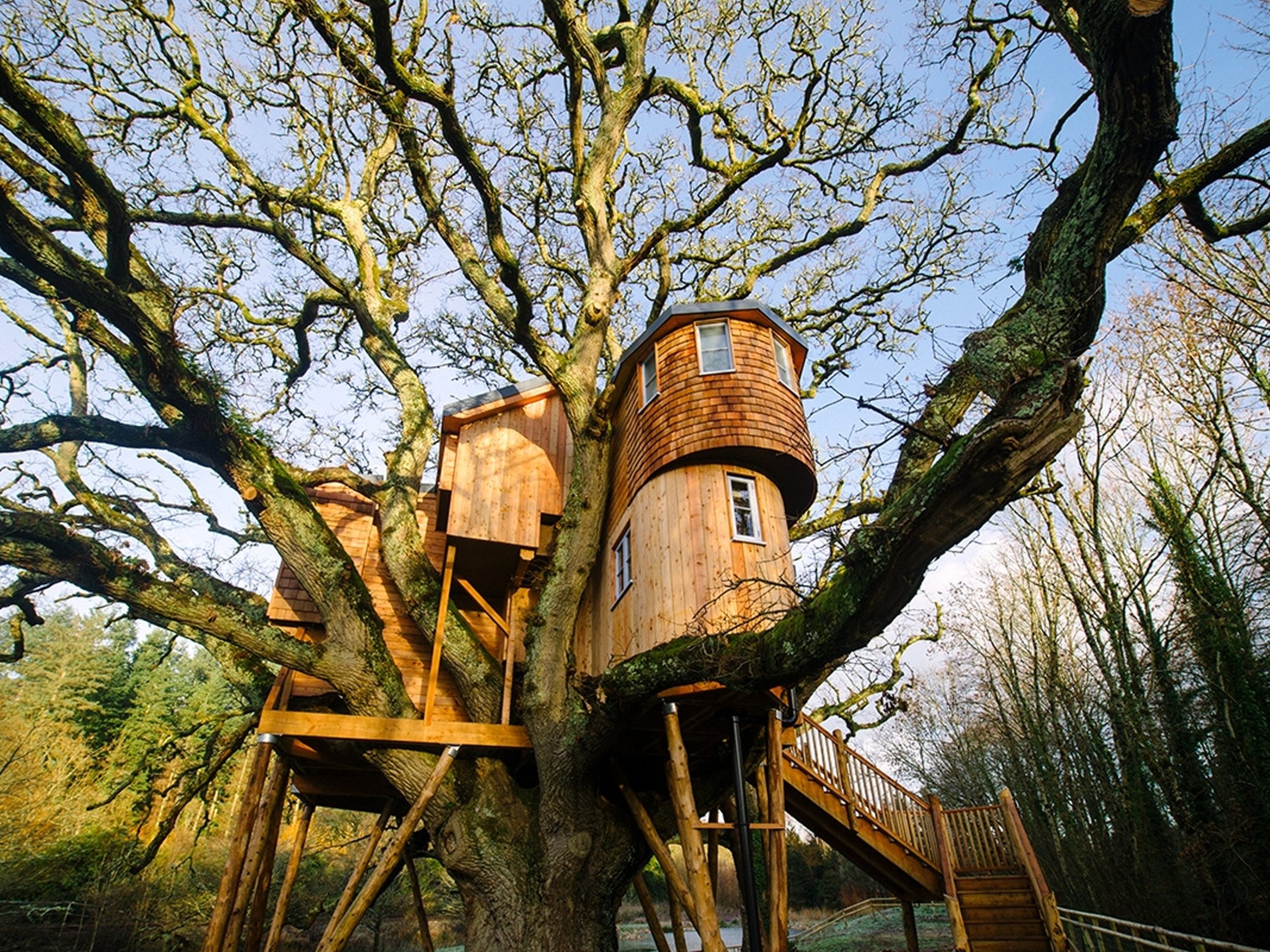 Treetops Treehouse