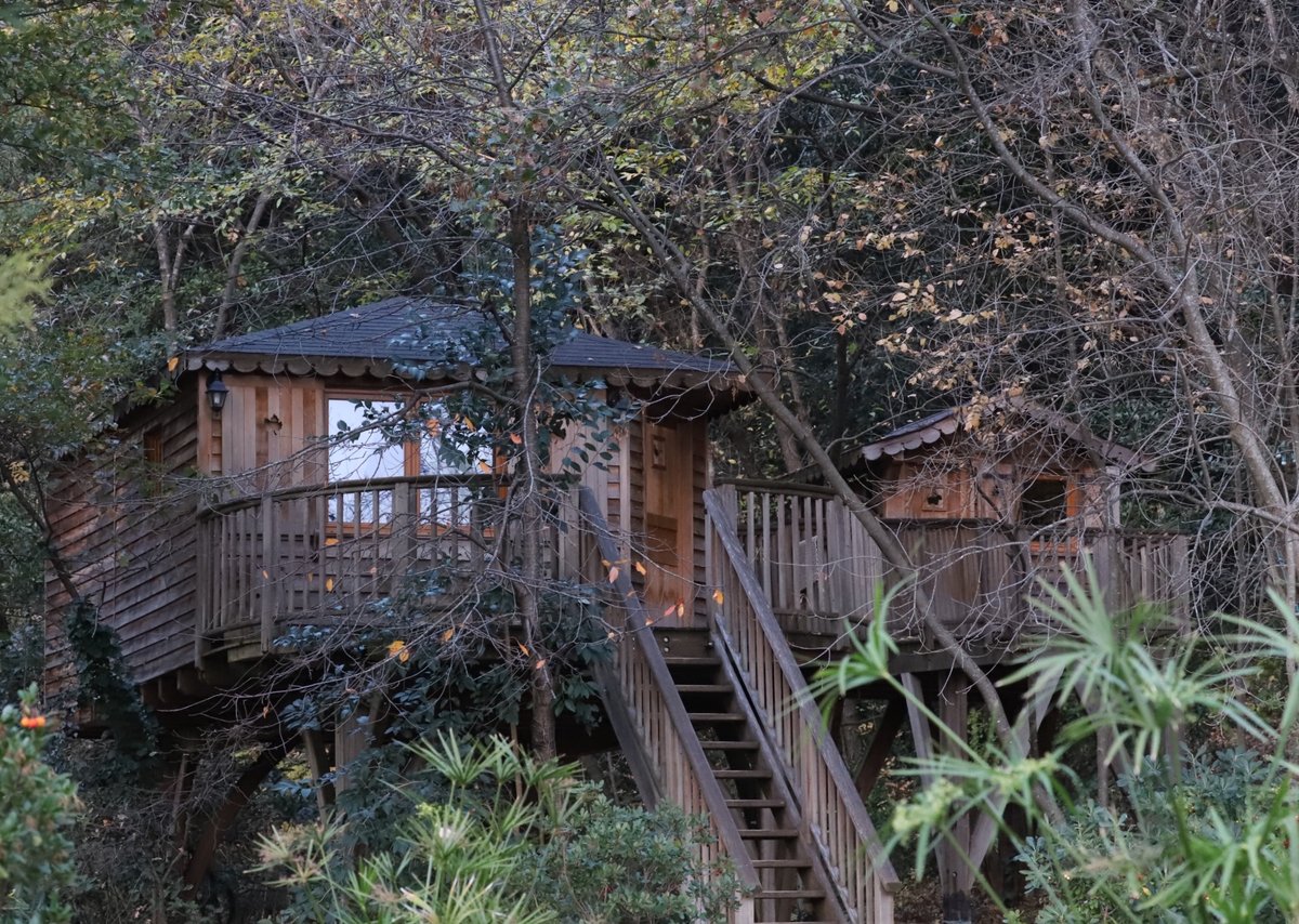Orion Treehouses