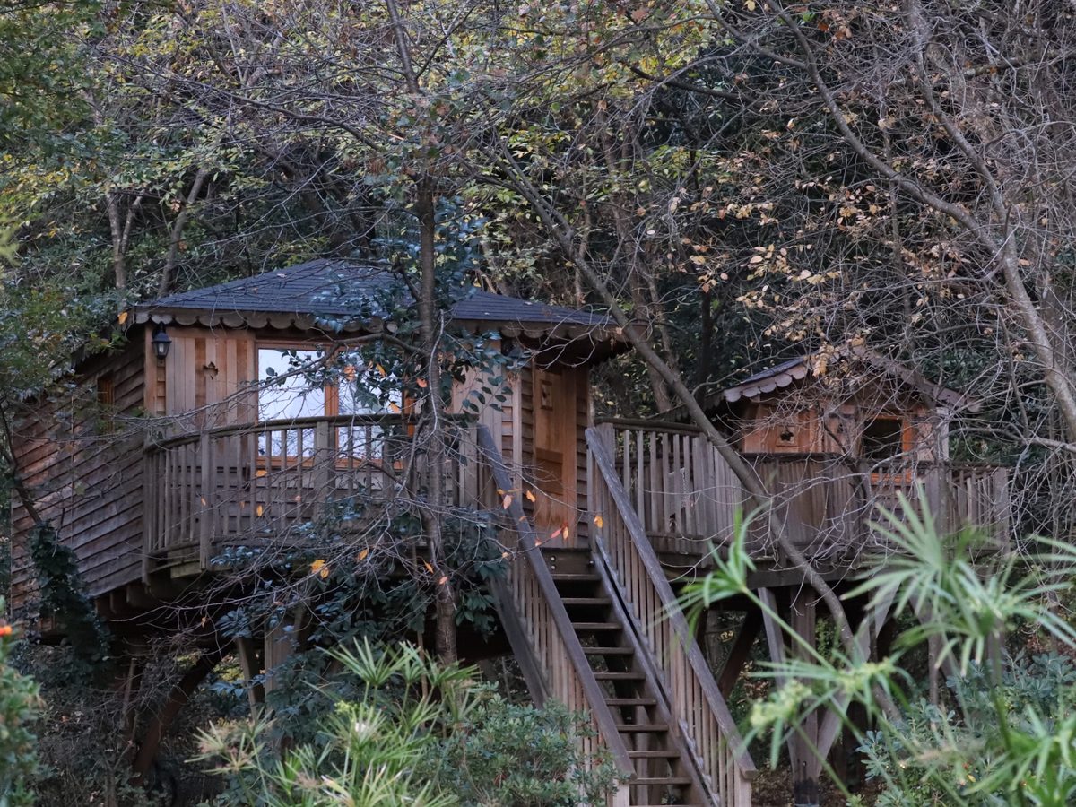 Orion Treehouses