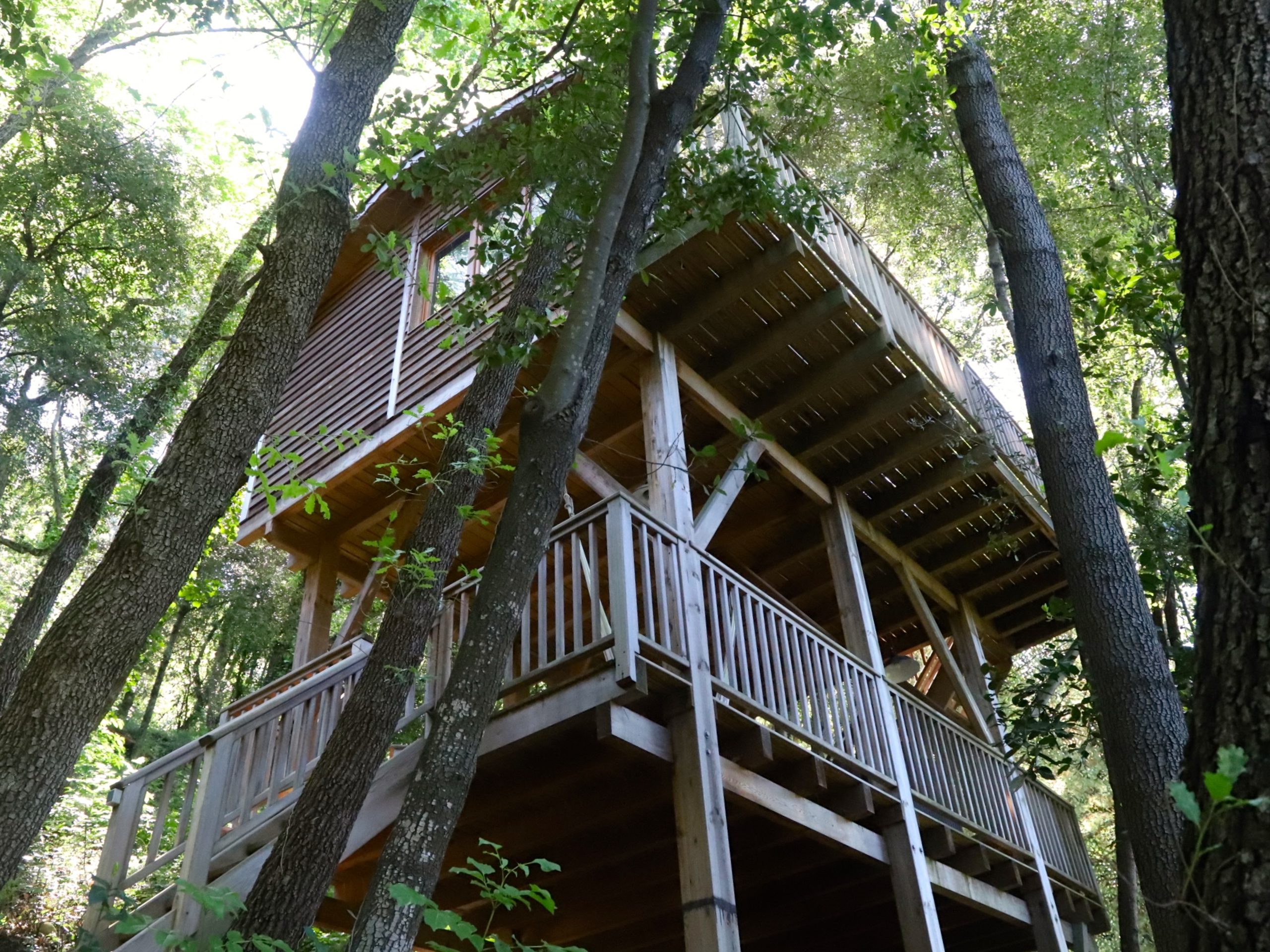 Orion Treehouses