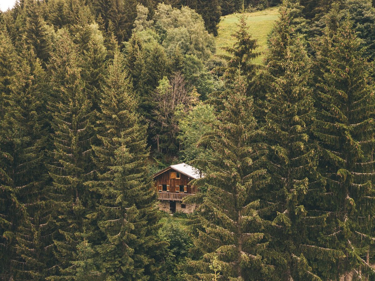 Chalet F'Net