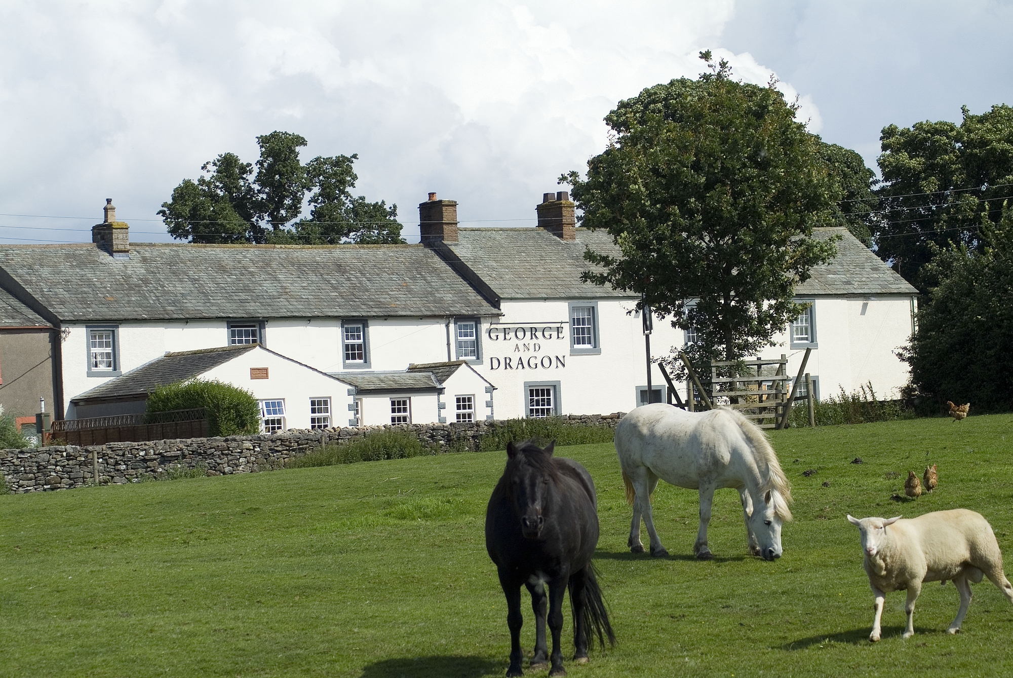 George &amp; Dragon