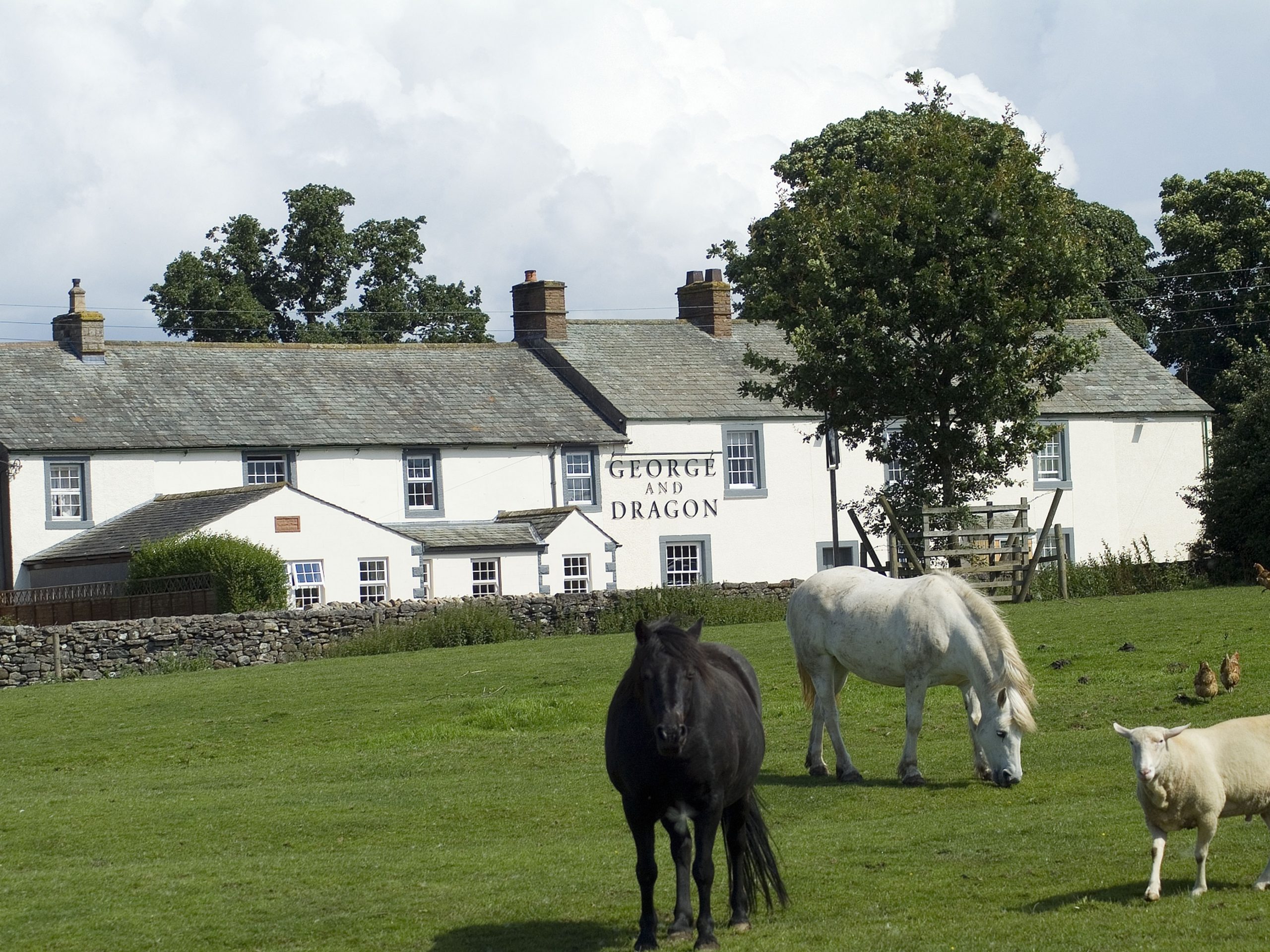 George & Dragon