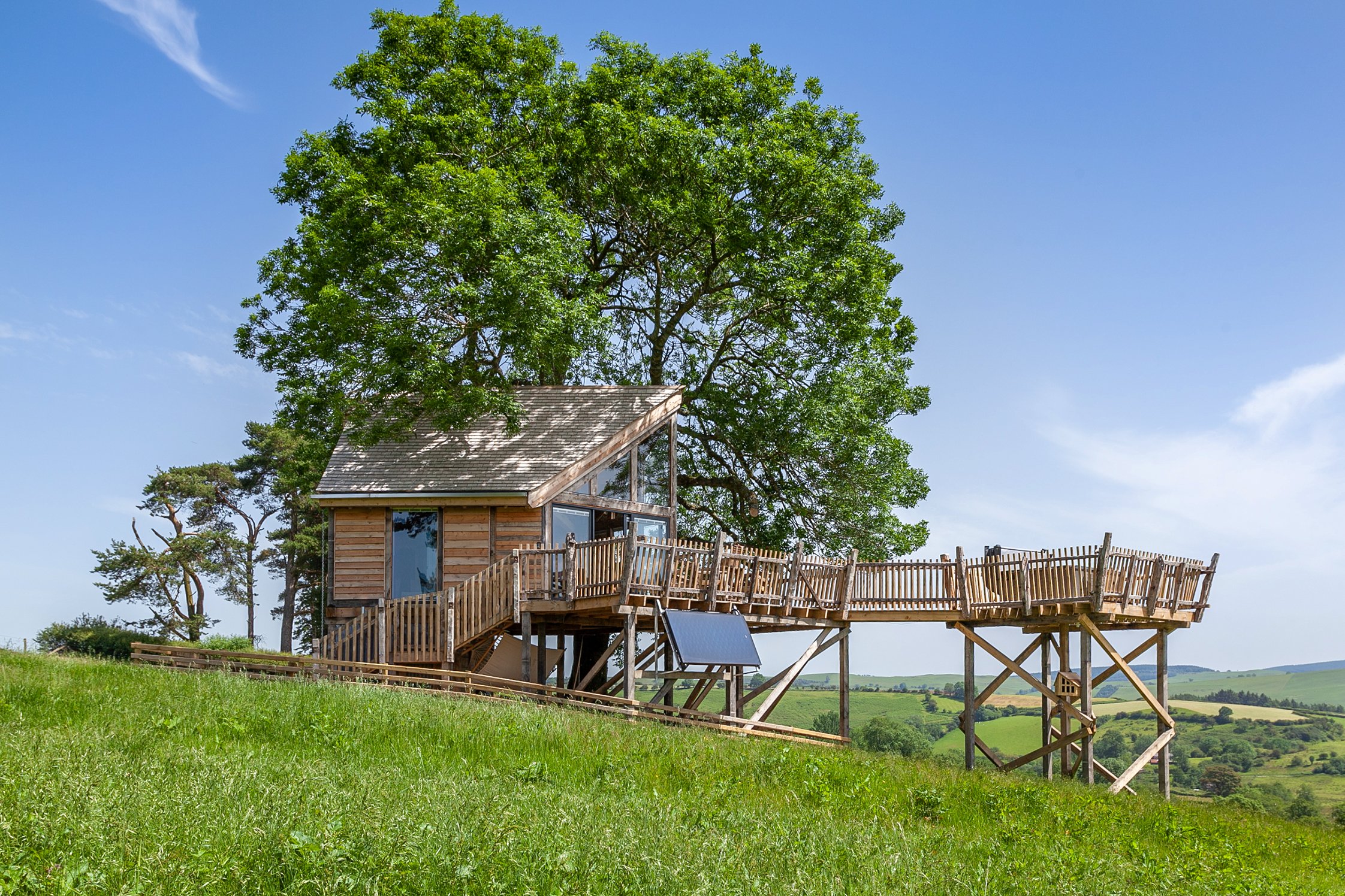 Cadwollens Treehouse