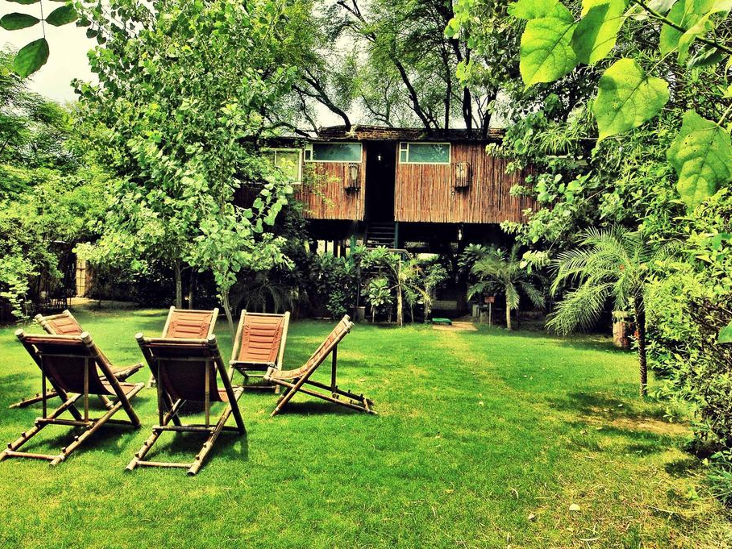 The Tree House Resort