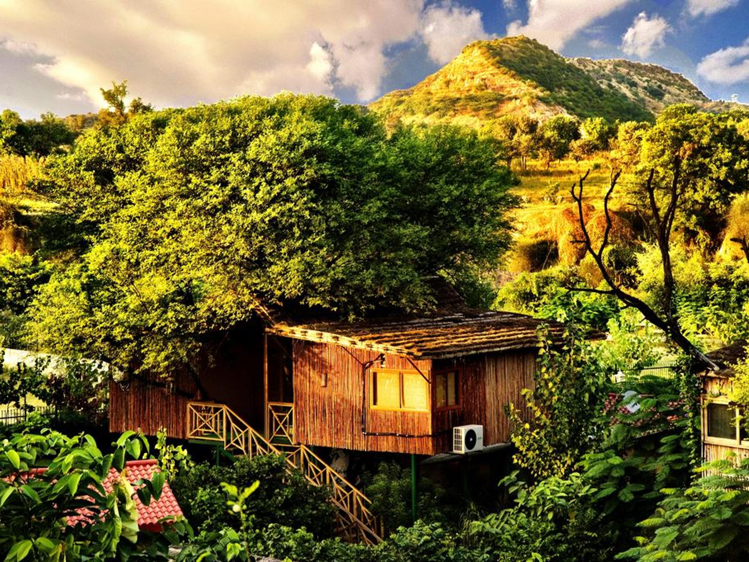 The Tree House Resort