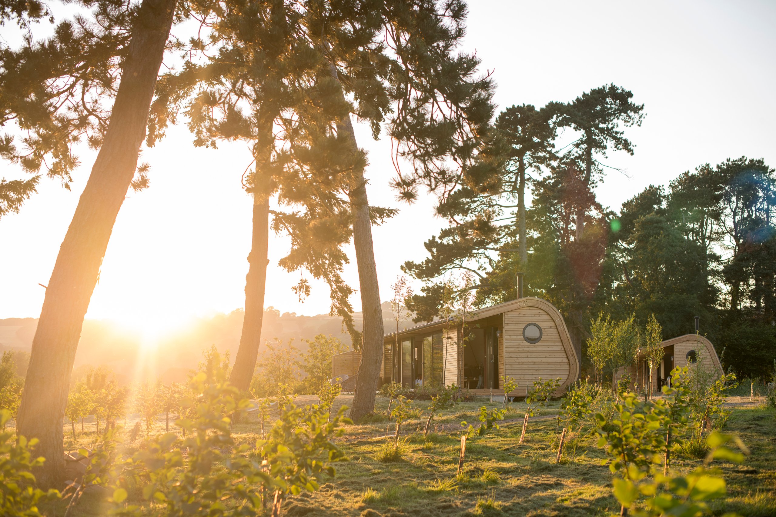 Cynefin Retreats