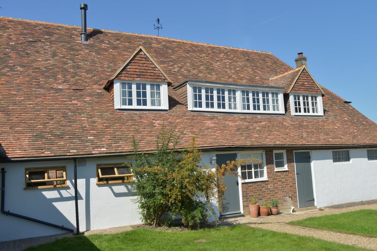 Oxney Organic Vineyard