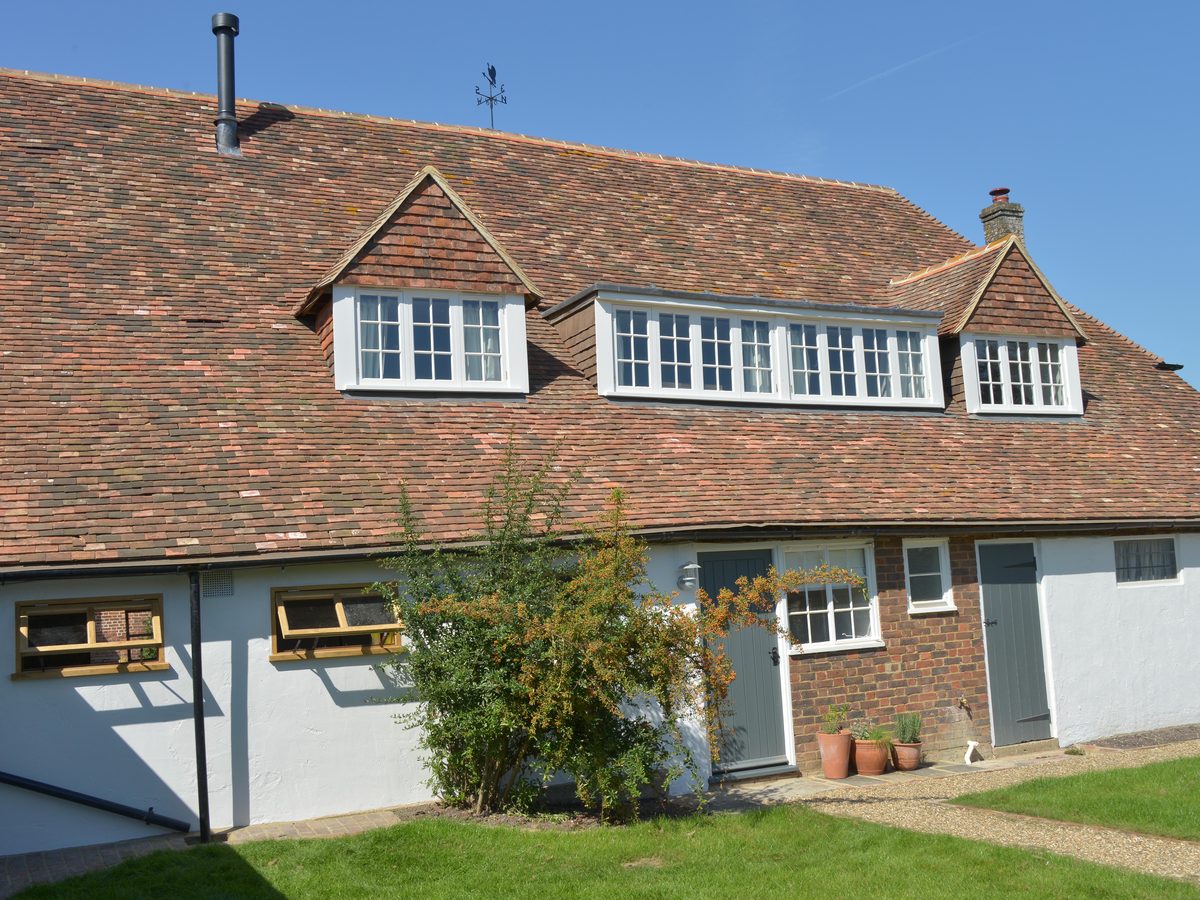 Oxney Organic Vineyard