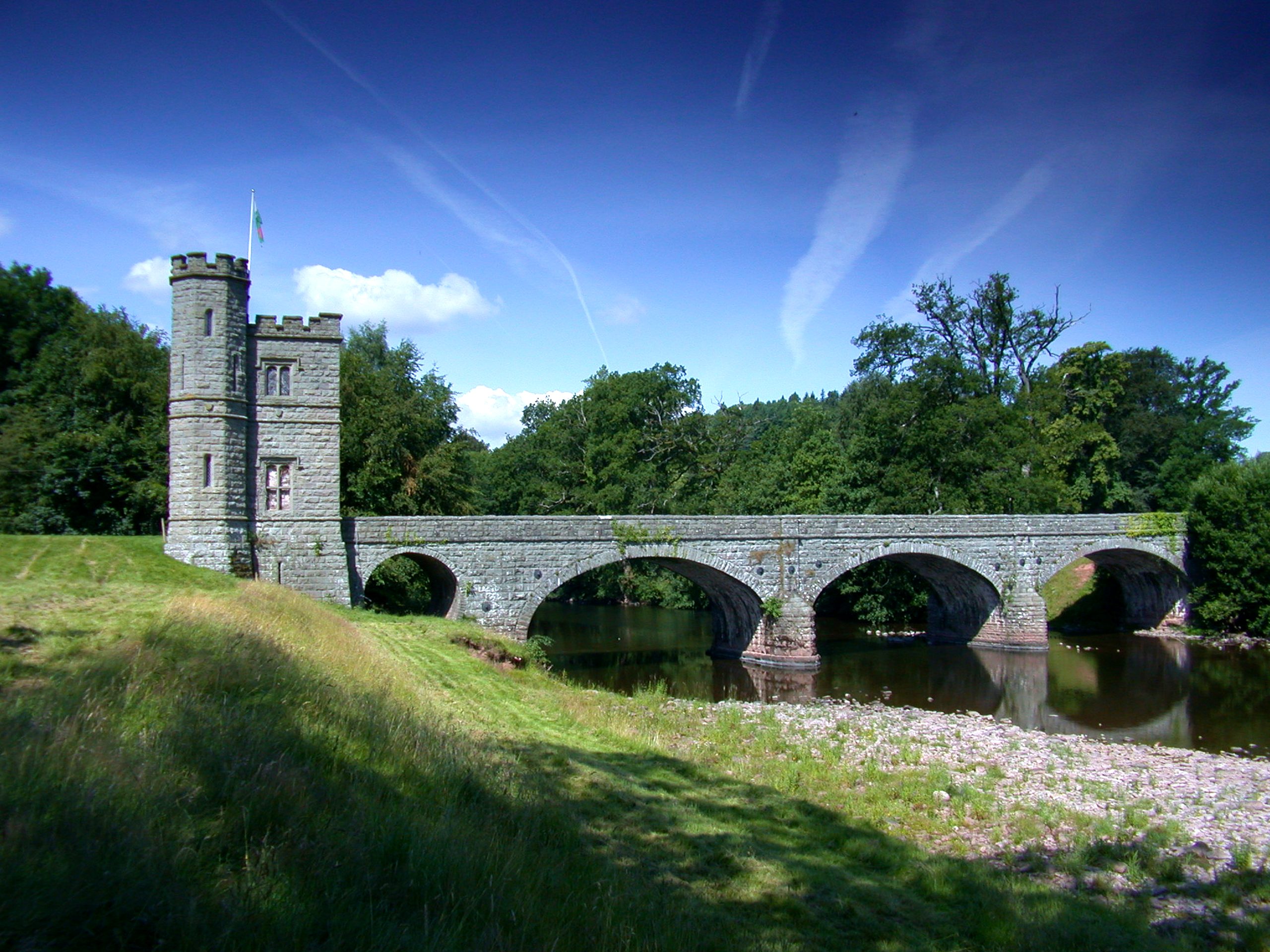 The Tower
