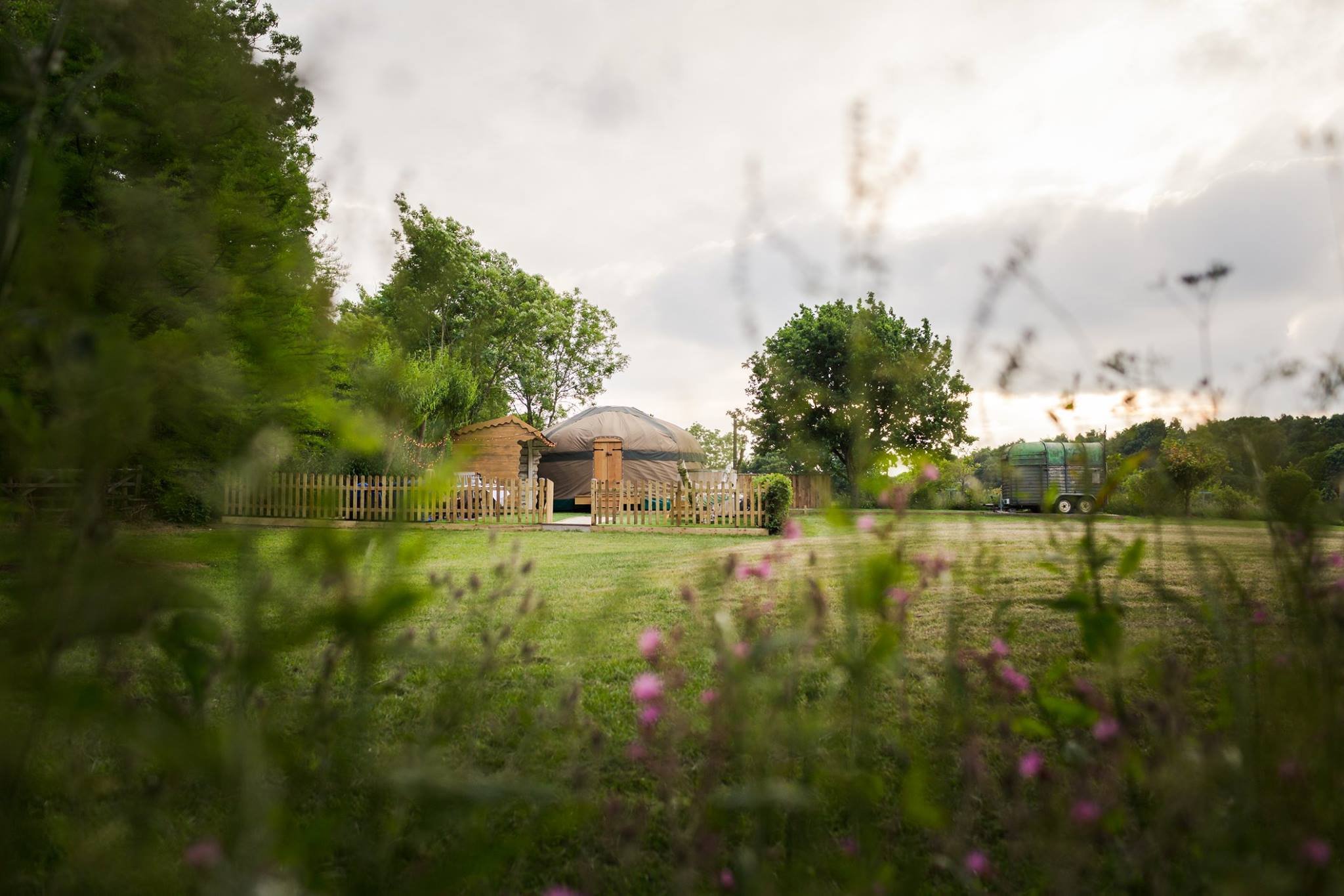 The Yurt at Hollands Farmhouse