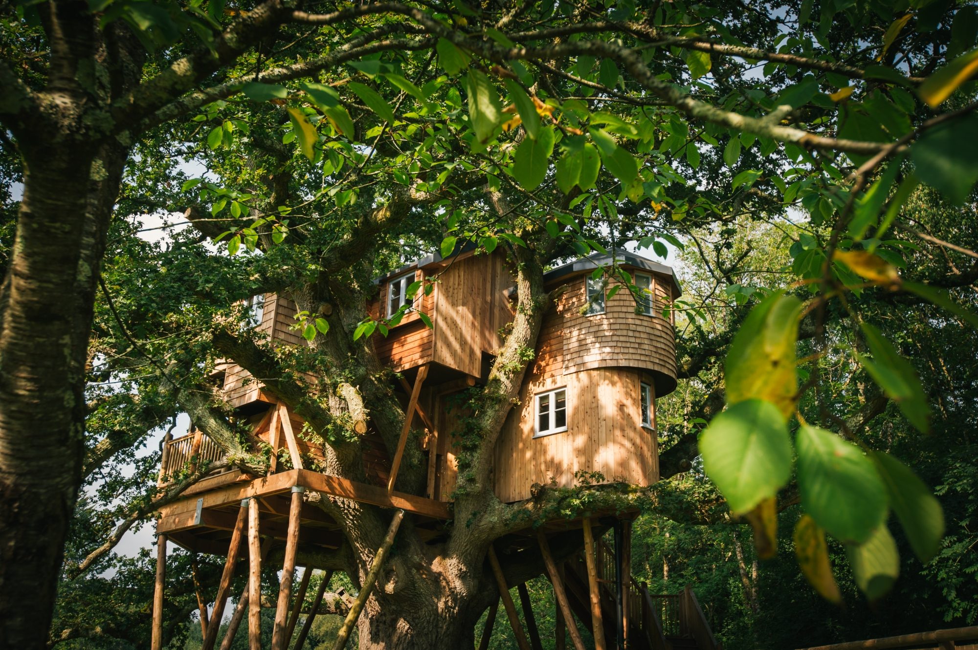 Treetops Treehouse - Image 1