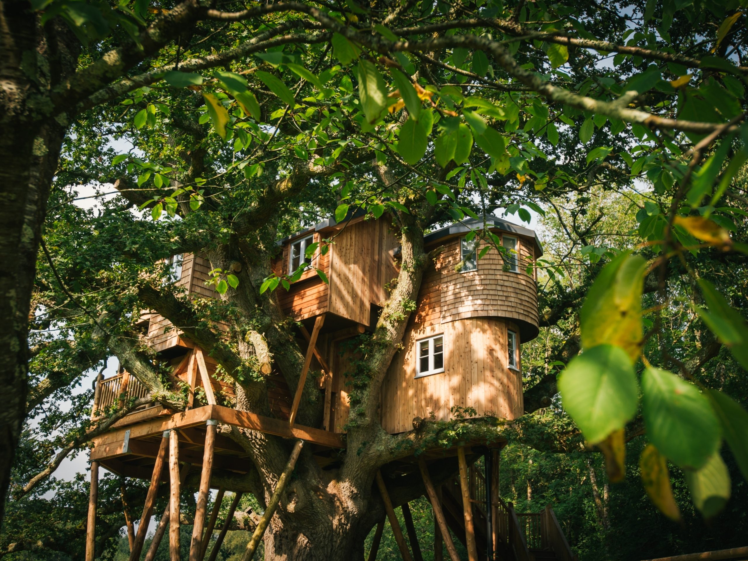 Treetops Treehouse