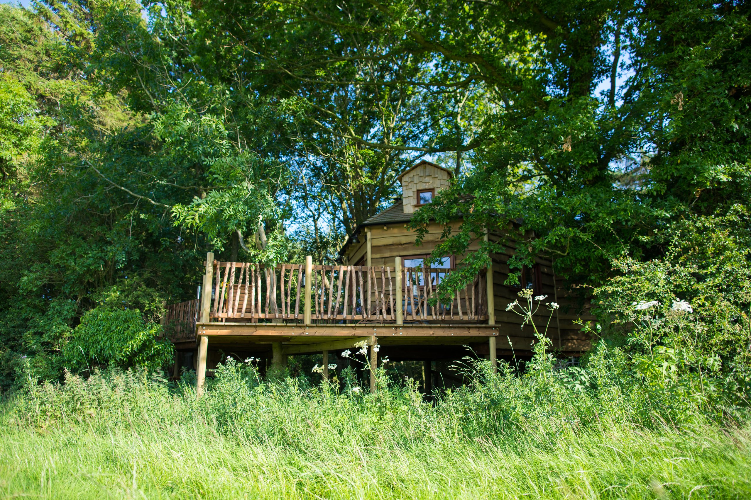 Woodland Chase Treehouse