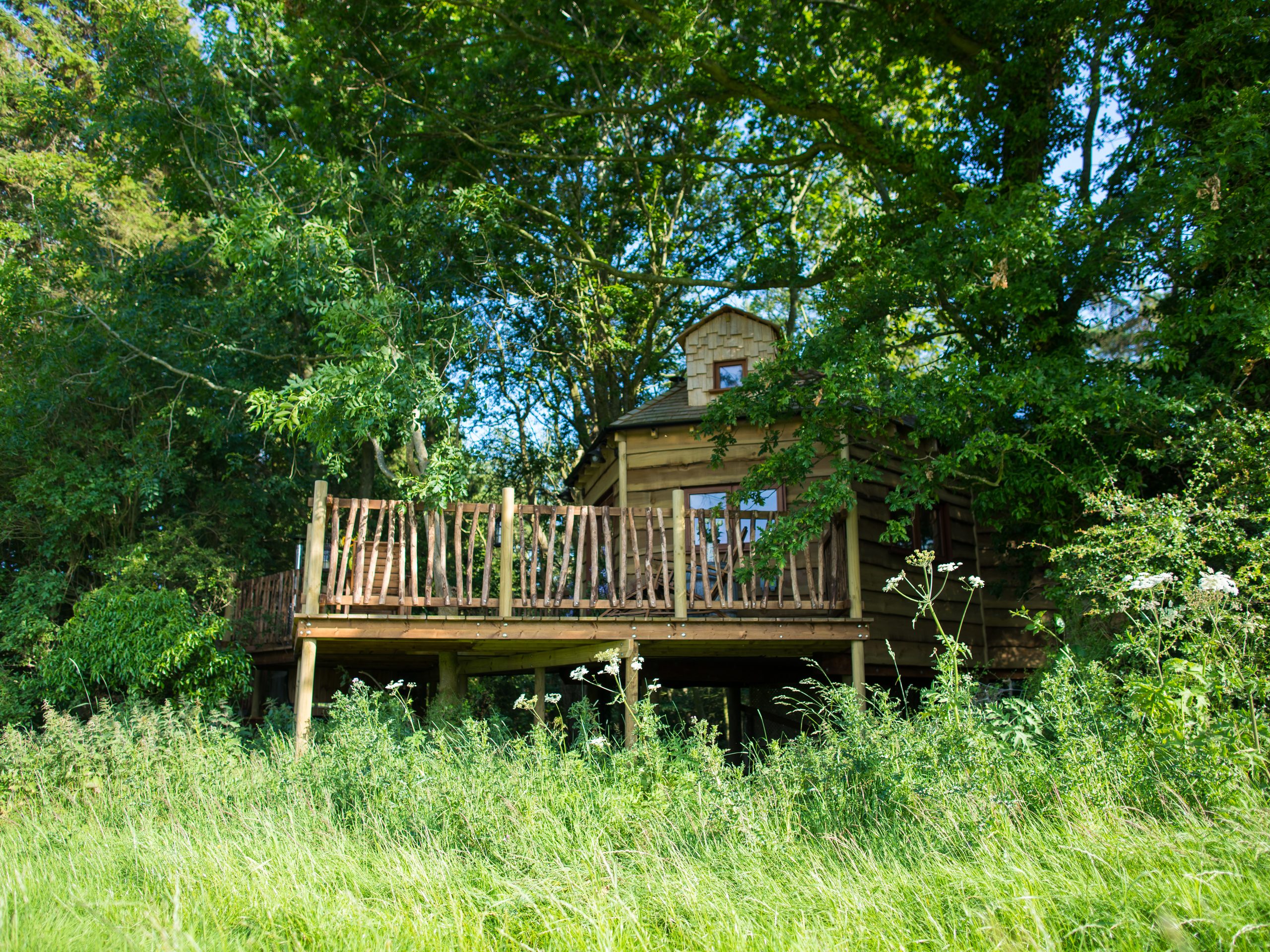 Woodland Chase Treehouse