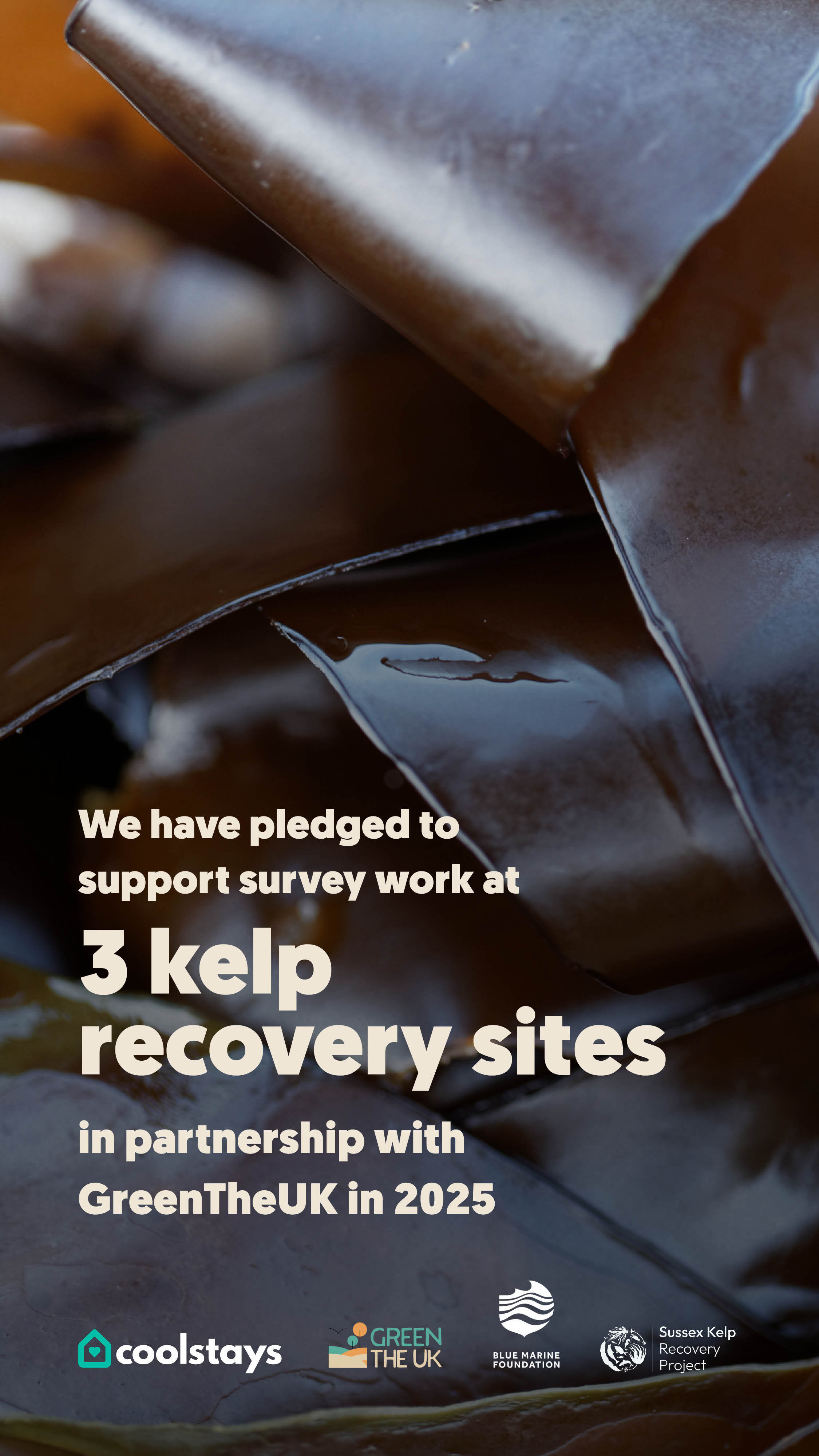 Uk temporate rainforest infographic