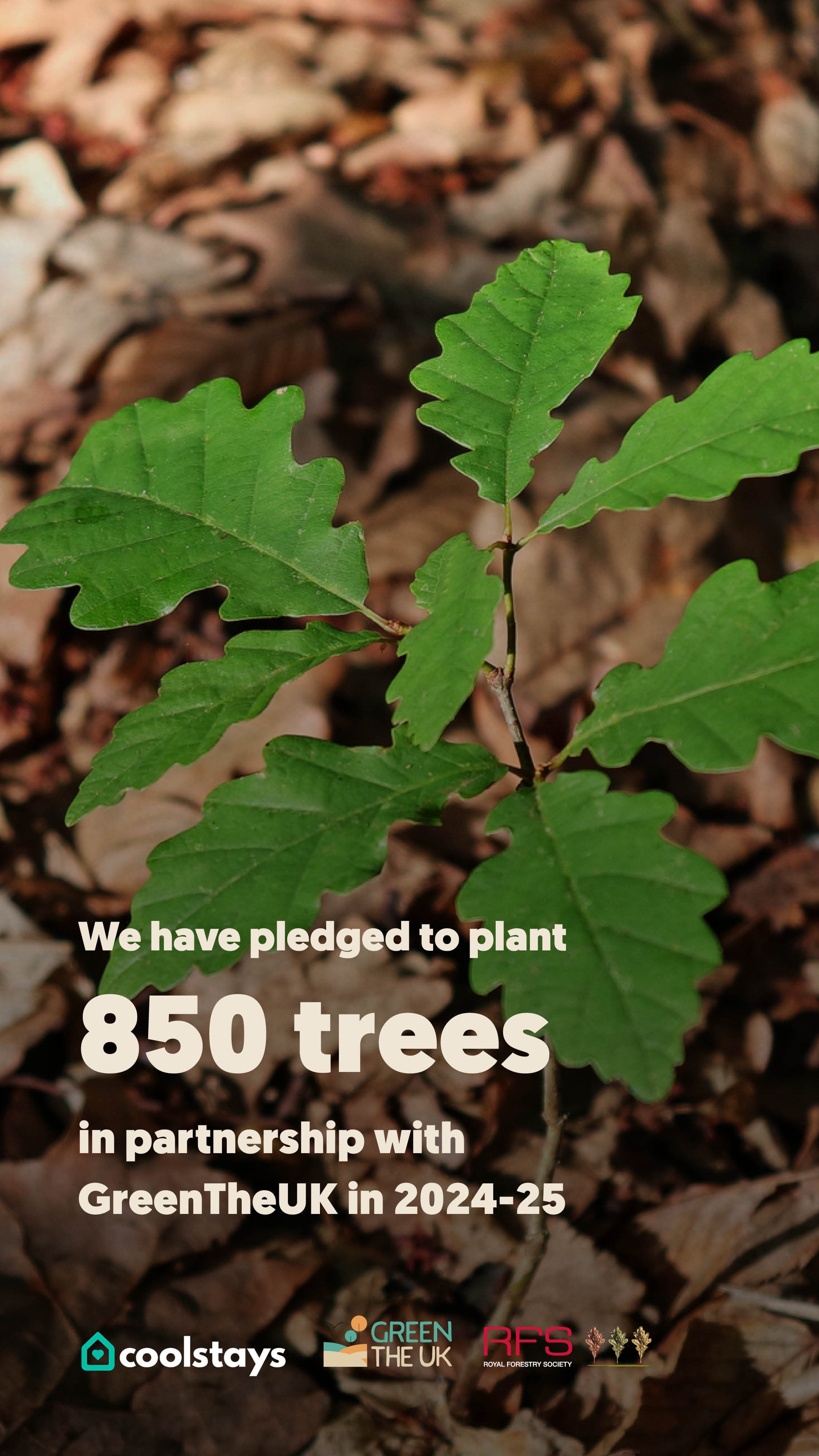 Uk temporate rainforest infographic